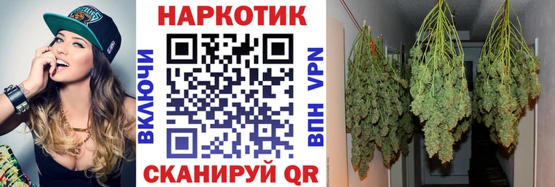Купить наркотики сайты Мичуринск СК  ГАШИШ 