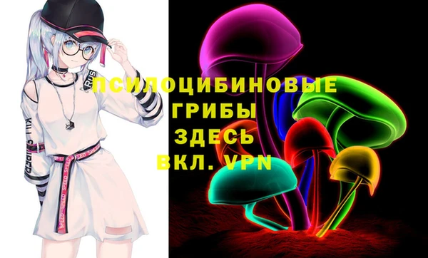 герыч Алексин
