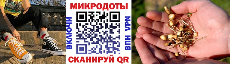 Псилоцибиновые грибы мицелий  купить закладку  Мичуринск 